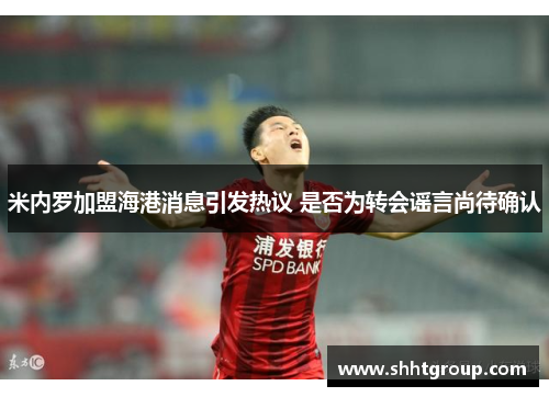 米内罗加盟海港消息引发热议 是否为转会谣言尚待确认